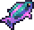 Polaris Parrotfish