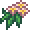 Gensokyo/Benben's Flower