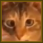 AFK Pets and more/Derp Cat Painting